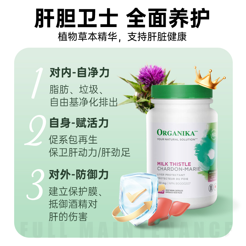 Organika奥加尼卡护肝片净肝水飞奶蓟草解酒熬夜加班养肝护肝胶囊-图1