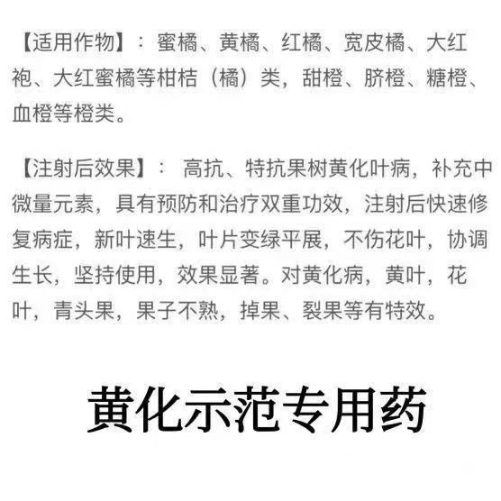 黄化示范专用橙柑桔柚果树黄叶黄龙病克星农用输液进口13小包吊针 - 图2