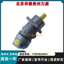 Shanghai Electric inclined shaft plunger A2F63R2P3 A2F63R2P3 L2P3 L2Z3 W2S3 force source Madaya