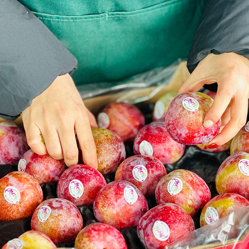 礼盒装3/5斤西班牙恐龙蛋红肉布林杏李新鲜水果李子黄布林火龙蛋,淘宝优惠券,粉丝福利购,淘宝优惠卷