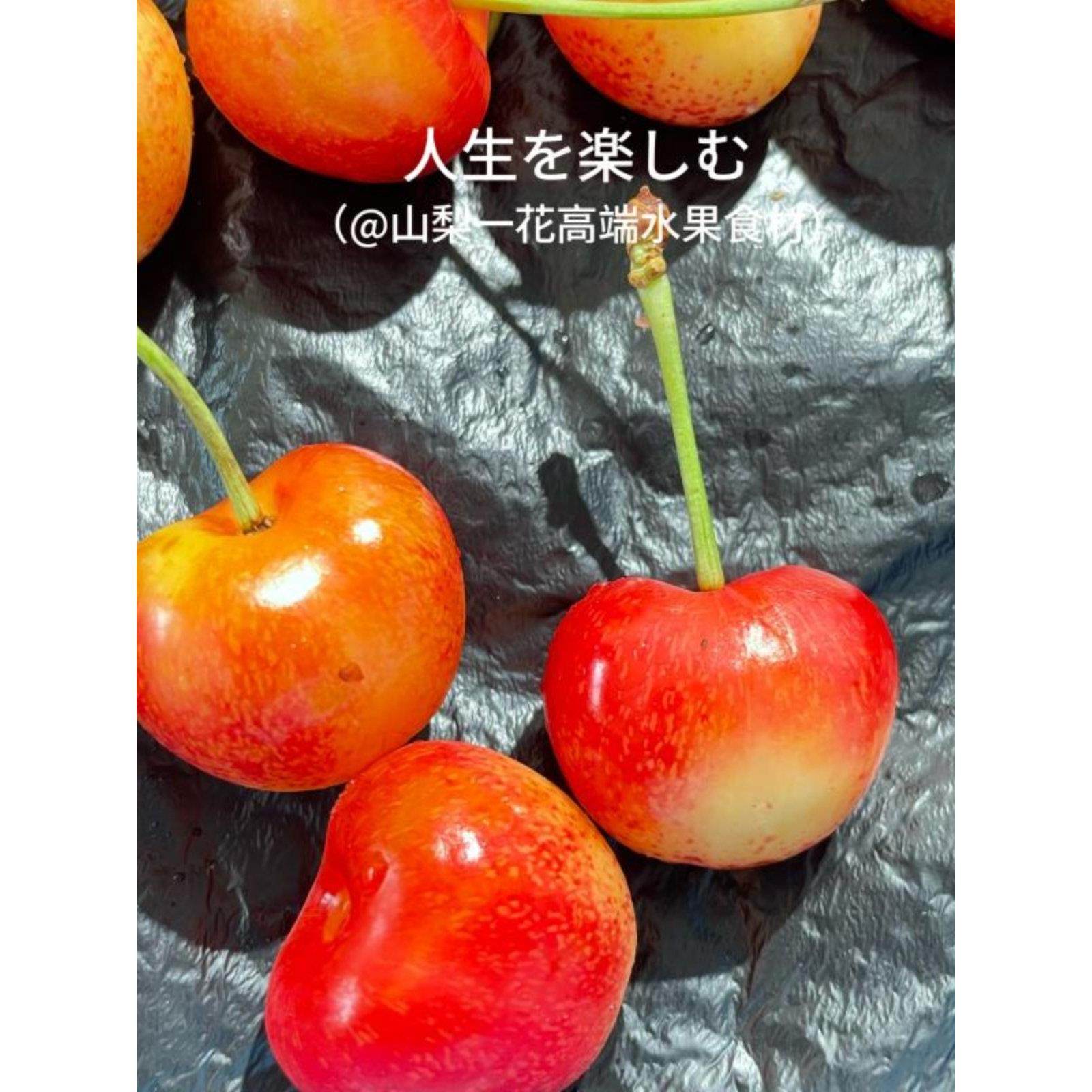 现货4JJJJ黄车厘子智利进口水果新鲜4斤礼盒黄金雷尼尔黄色樱桃1,淘宝优惠券,粉丝福利购,淘宝优惠卷