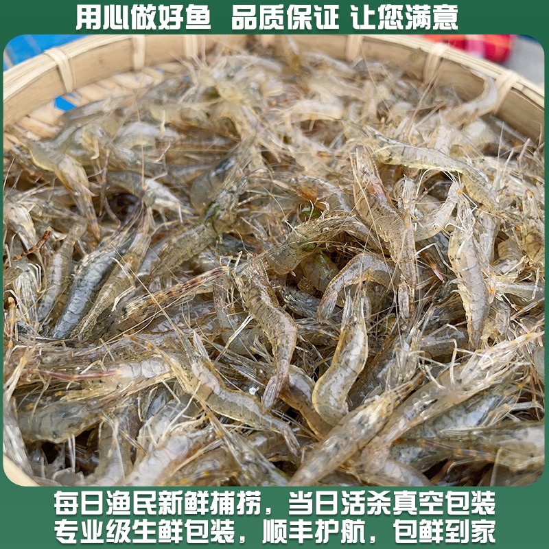 微山湖新鲜淡水小河虾鲜活的速冻大青虾草虾鱼食醉虾土虾生鲜顺丰,淘宝优惠券,粉丝福利购,淘宝优惠卷