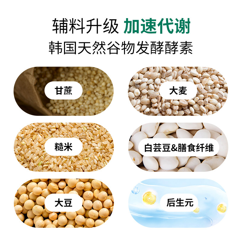  NGT保健品海外酵素