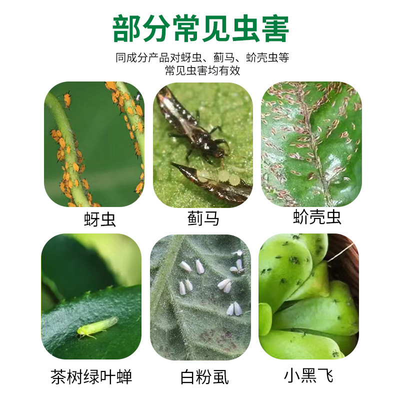 百虫清植物蔬菜花卉绿植通用辣椒番茄黄瓜多肉月季花药只杀虫温和,淘宝优惠券,粉丝福利购,淘宝优惠卷