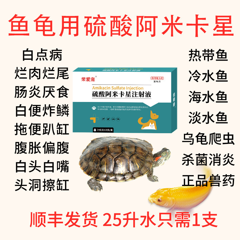 水族硫酸阿米卡星锦鲤肠炎水产乌龟感冒肺炎药白点净鱼药烂身烂尾,淘宝优惠券,粉丝福利购,淘宝优惠卷
