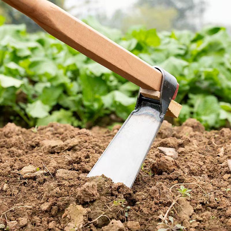 锄头家用种菜锰钢挖土老式农用专用挖笋开沟锄草农具工具大全除草 - 图2