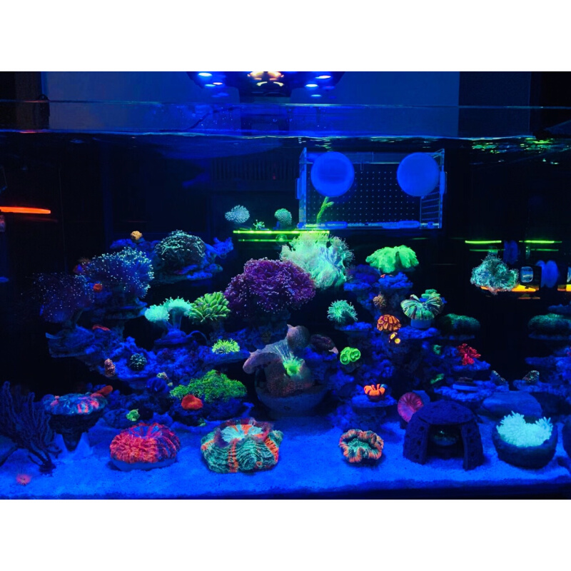 海缸膜海缸贴膜海水缸珊瑚缸过滤蓝光去蓝光膜海缸拍照滤镜玻璃膜