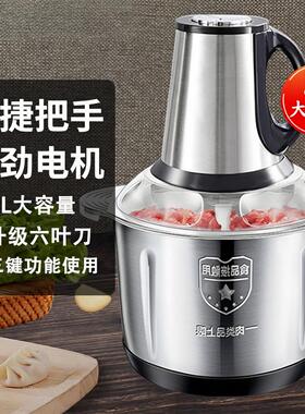 德国戴玛斯电动绞肉机家用多功能