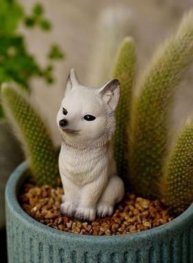 九尾狐狸多肉花盆景装饰