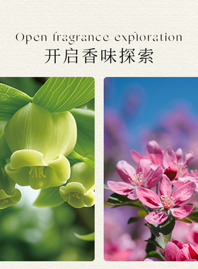 绝对呼吸紫色磁吸车载香氛仓挂件