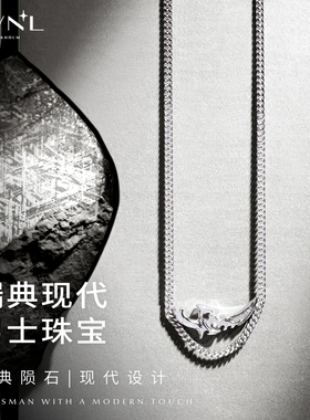 守护每一次出发｜M陨石男士项链