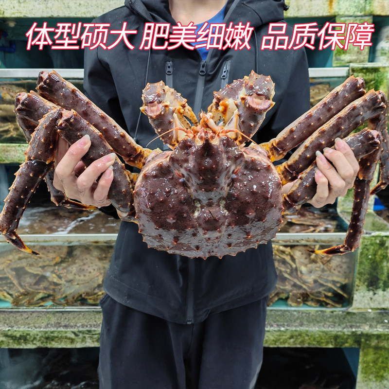 【还可以发货】帝王蟹鲜活冷冻海鲜水产12斤帝皇蟹蜘蛛螃蟹长脚蟹