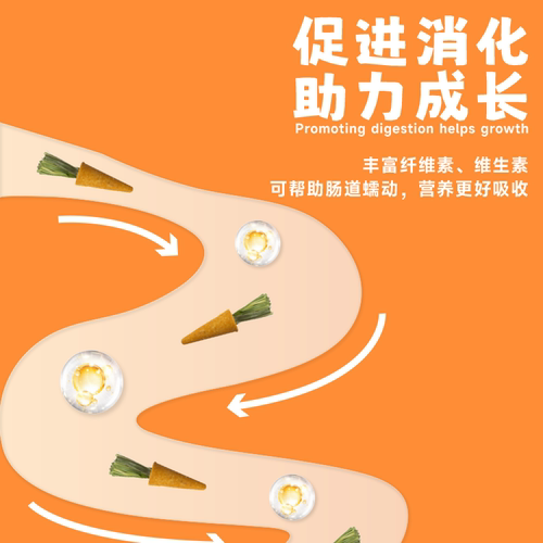 仓鼠磨牙棒胡萝卜兔子零食豚鼠龙猫荷兰猪金丝熊专用磨牙神器用品 - 图0