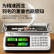 Royalstar Commercial Electronic Scale Pricing Scale New Platform Scale
