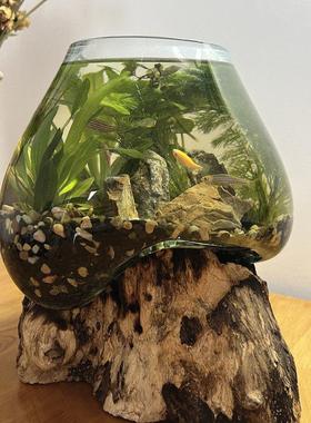 沉木枯木创意个性绿萝铜钱草玻璃水培花插 禅意 新中式小鱼缸摆件