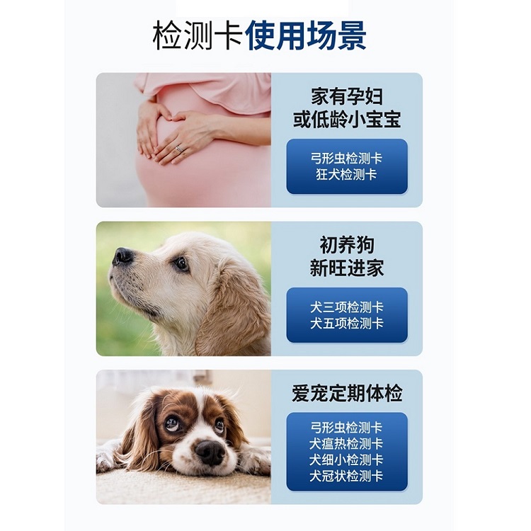 狗犬瘟细小冠状试纸CDV CPV弓形虫检测卡狂犬全套狗狗瘟幼犬检测-图2