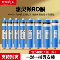 Gold Wire Springs Wellington Home Reverse Osmosis Water Purifier 400Gro Membrane Filter Core Pure Water Machine Straight Drinking Machine Universal Accessories