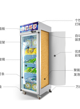 商用立式冰柜超市生鲜冻肉速冻冰箱低温柜冻品包子汤圆冷冻展示柜