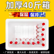 Night Market Stall of Incubator Sub special Foam Box of Incubator Varieties of Vegetable Cultivation Fruit Vegetables Preservation and Refrigeration Box