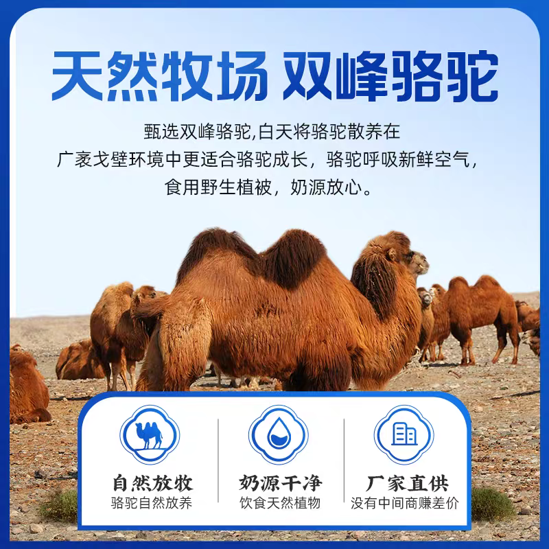 中老年高钙奶营养粉正宗新疆双峰骆驼奶多维高钙益生菌骆驼成人奶,淘宝优惠券,粉丝福利购,淘宝优惠卷