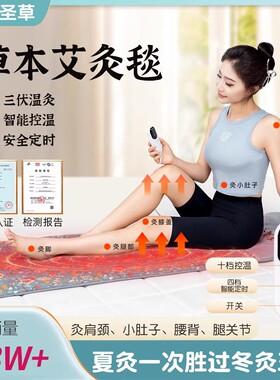 多功能全身智能加热草本艾灸毯插