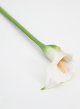 小海芋马蹄莲仿真花餐桌摆件