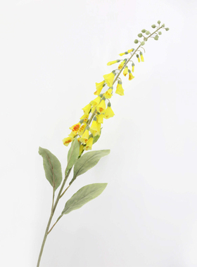 仿真花毛地黄绢花楼盘样板间假花