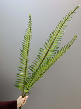 孔雀蕨仿真植物婚礼造景