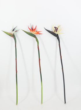 仿真手感天堂鸟鹤望兰绿植造景塑料花假花鹤望兰餐桌插花摆设客厅