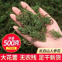 Ginseng Flower 500g Changbai Mountain for 6 years Wild Ginseng Flower Lower flower special class selection of fresh ginseng flower tea