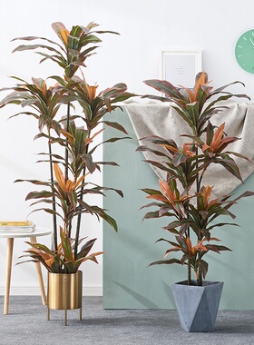 大型北欧仿真红铁树盆景假绿植盆栽摆件室内家居客厅落地网红装饰