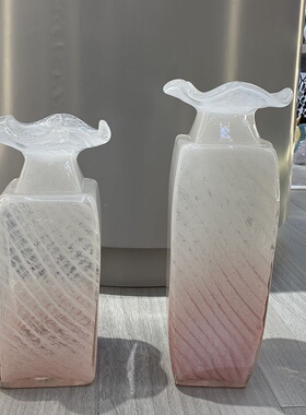 花瓶摆件客厅插花透明玻璃瓶水养马醉木富贵竹宽口水培器皿大