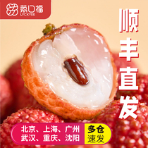 Likou Fu Boutique Fruit King Apple Pear Lychee Should Be Filled With Ice Cold Frozen Fresh White Sugar Lychee in the Season Autumn Moon