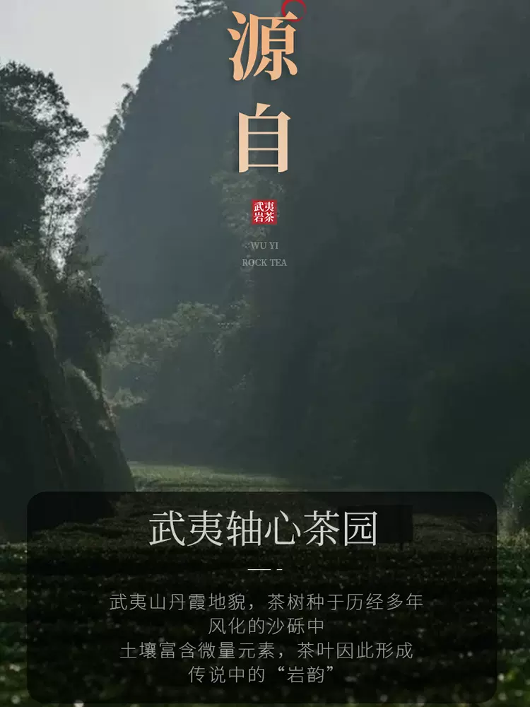 陈一凡武夷岩茶肉桂 正宗肉桂果香浓香型 正宗武夷山新茶罐装50g,淘宝优惠券,粉丝福利购,淘宝优惠卷