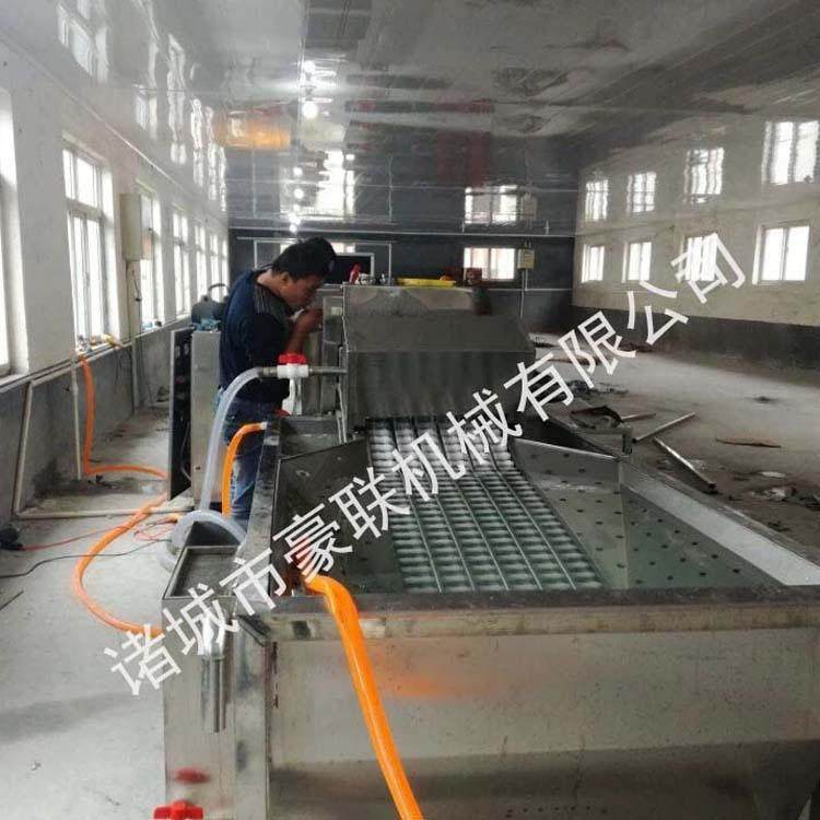 咸鸭蛋清洗机 皮蛋清洗机 全自动洗蛋机 鸭蛋清洗机,淘宝优惠券,粉丝福利购,淘宝优惠卷