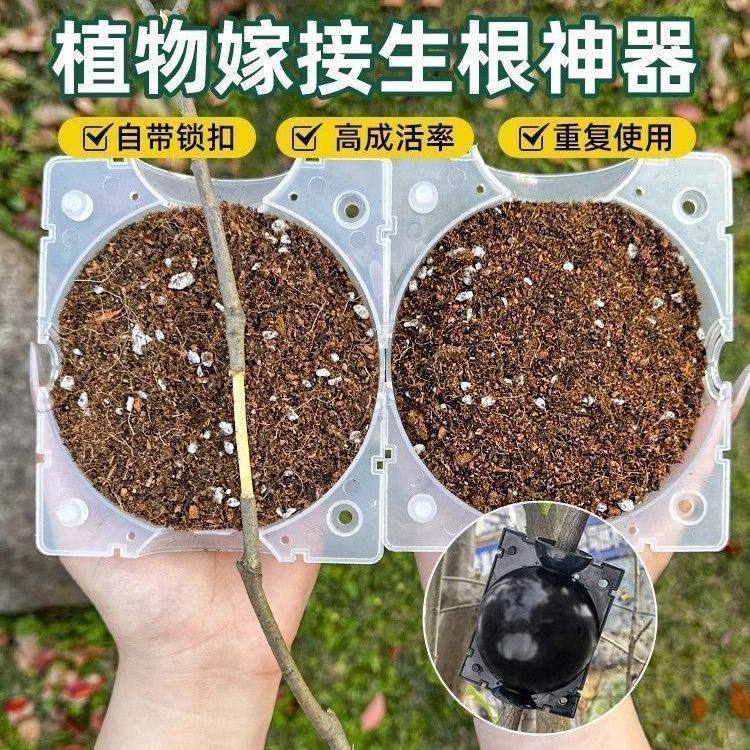 植物高压嫁接繁殖盒育苗花木嫁接移栽神器扦插果树枝条农用育苗袋,淘宝优惠券,粉丝福利购,淘宝优惠卷