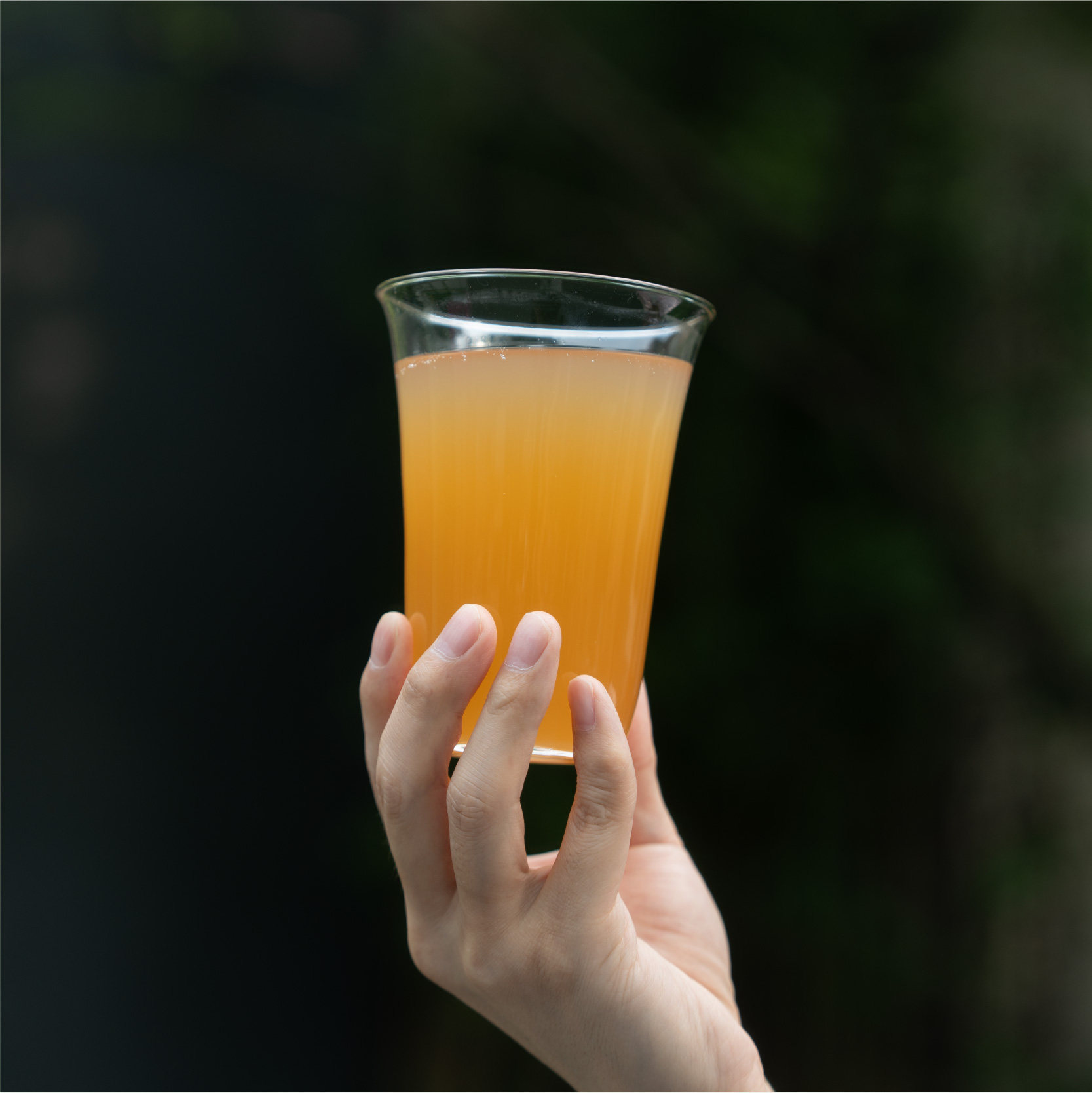 【山乘酿造官方旗舰店】嘎嘎！柠檬鸭屎香西打 艺术闪击精酿啤酒,淘宝优惠券,粉丝福利购,淘宝优惠卷