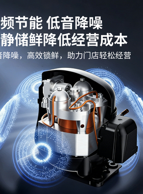 【变频商用冰柜】全冷冻柜家用冷藏两用大容量卧式冷藏冷冻一体柜