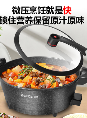 扬子家用多功能电子微压锅电煮锅