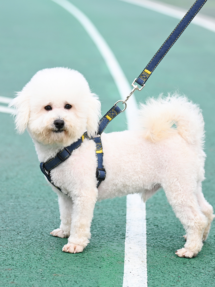 狗狗牵引绳大型中型小型犬狗链子狗项圈泰迪金毛遛狗绳子宠物用品 - 图0