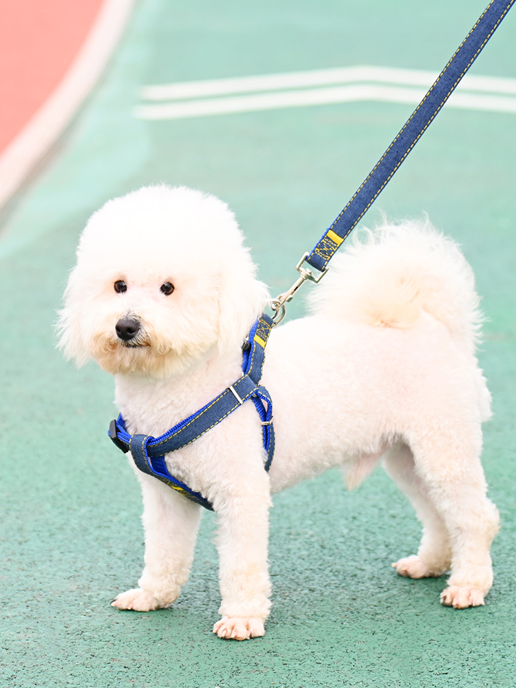 狗狗牵引绳大型中型小型犬狗链子狗项圈泰迪金毛遛狗绳子宠物用品 - 图1