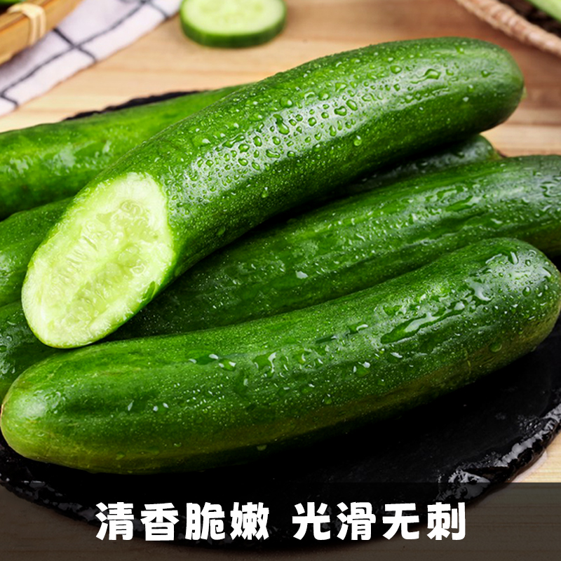 【香菇来了】水果黄瓜新鲜生吃小黄瓜5斤青瓜时令蔬菜旱即食包邮-图1