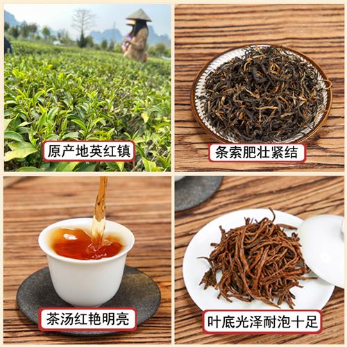 英德红茶英红九号 浓香型 一级袋装散装 广东新茶叶 英九红茶1959