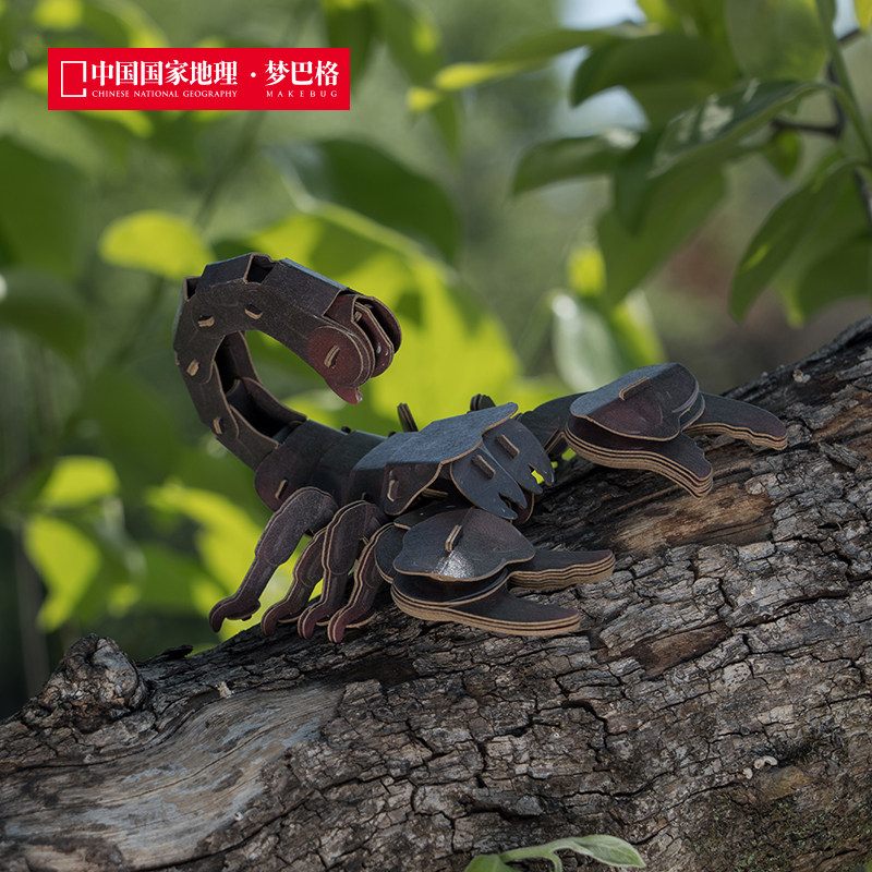 中国国家地理梦巴格 雨林小怪系列 3d立体拼装纸模 模型摆件礼物,淘宝优惠券,粉丝福利购,淘宝优惠卷