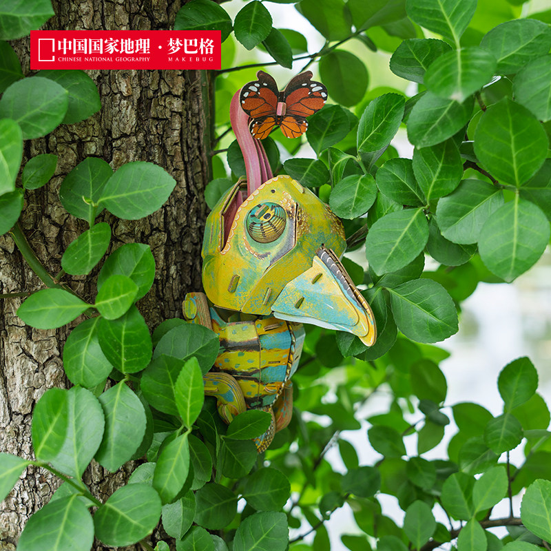 中国国家地理梦巴格 雨林小怪系列 3d立体拼装纸模 模型摆件礼物,淘宝优惠券,粉丝福利购,淘宝优惠卷