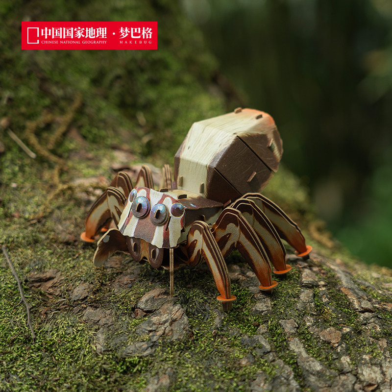 中国国家地理梦巴格 雨林小怪系列 3d立体拼装纸模 模型摆件礼物,淘宝优惠券,粉丝福利购,淘宝优惠卷