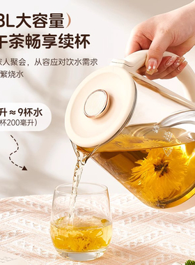 【德国进口】家用多功能养生壶