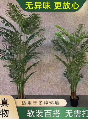 仿真绿植散尾葵旅人蕉美人蕉龟背树室内仿真树落地假X树假植物造