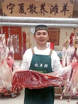 (1 Number of Live Live Weighing) Ningxia Scattered Breeding Beach half a sheeps rear leg Sheep with 5 catties