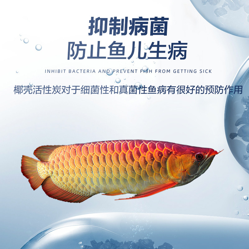 活性炭鱼缸过滤材料净水培菌滤材果壳椰壳非磁力宝蛋白棉炭除黄水,淘宝优惠券,粉丝福利购,淘宝优惠卷